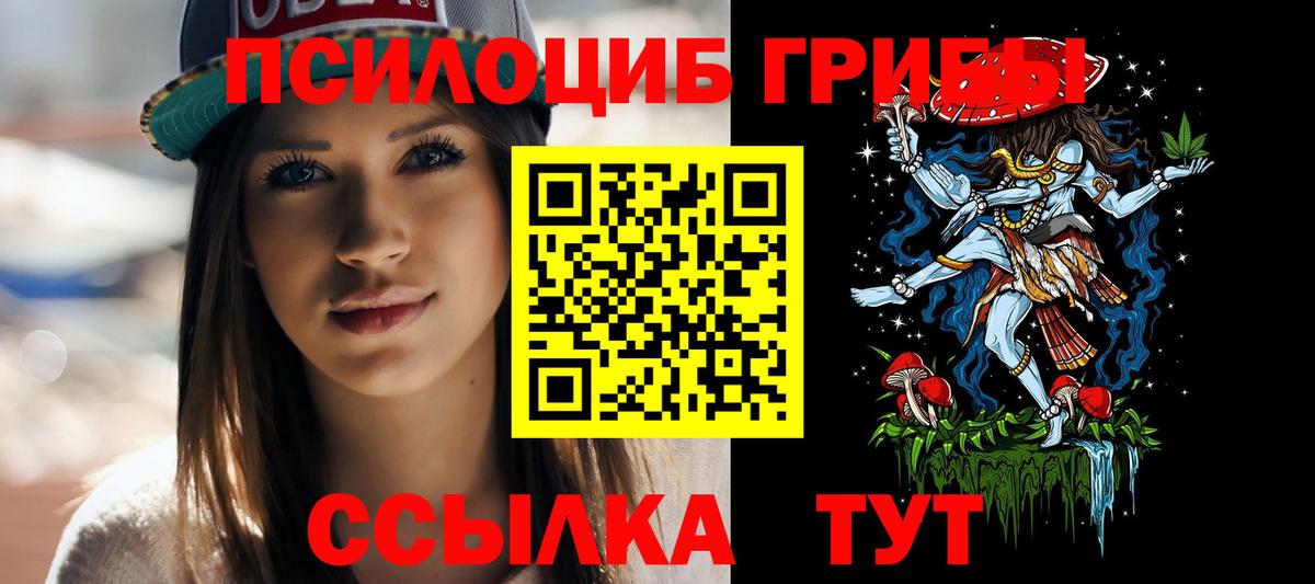 Псилоцибиновые грибы GOLDEN TEACHER Новочеркасск