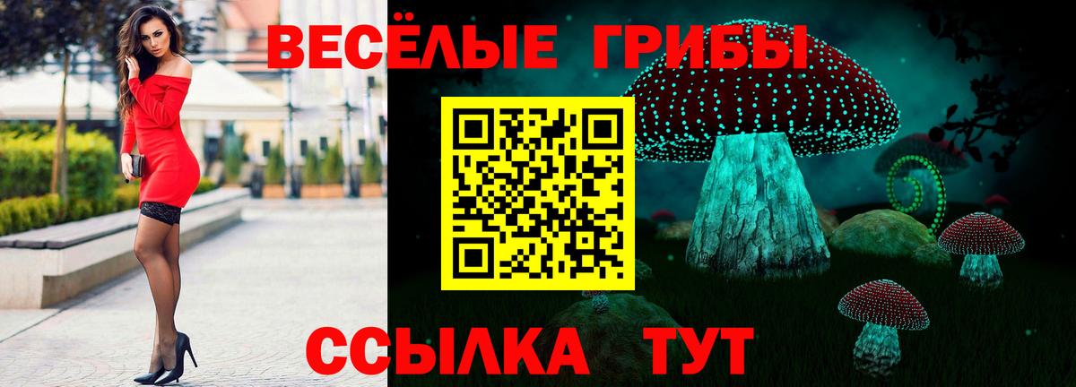 Псилоцибиновые грибы GOLDEN TEACHER  где продают наркотики  Новочеркасск  Вход с VPN 